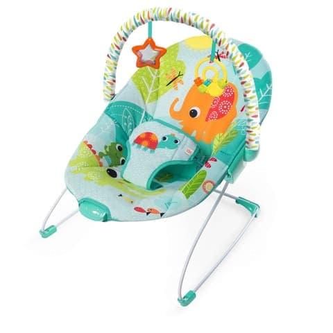 Baby Bouncer Chair
