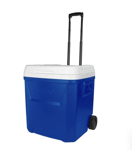 Cooler